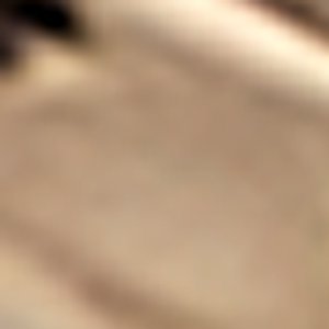 Splenndorx